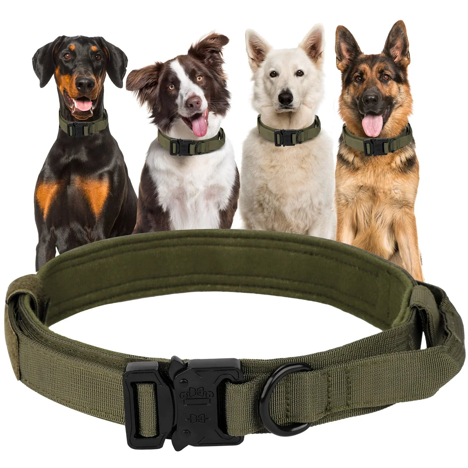 Dog Collar's