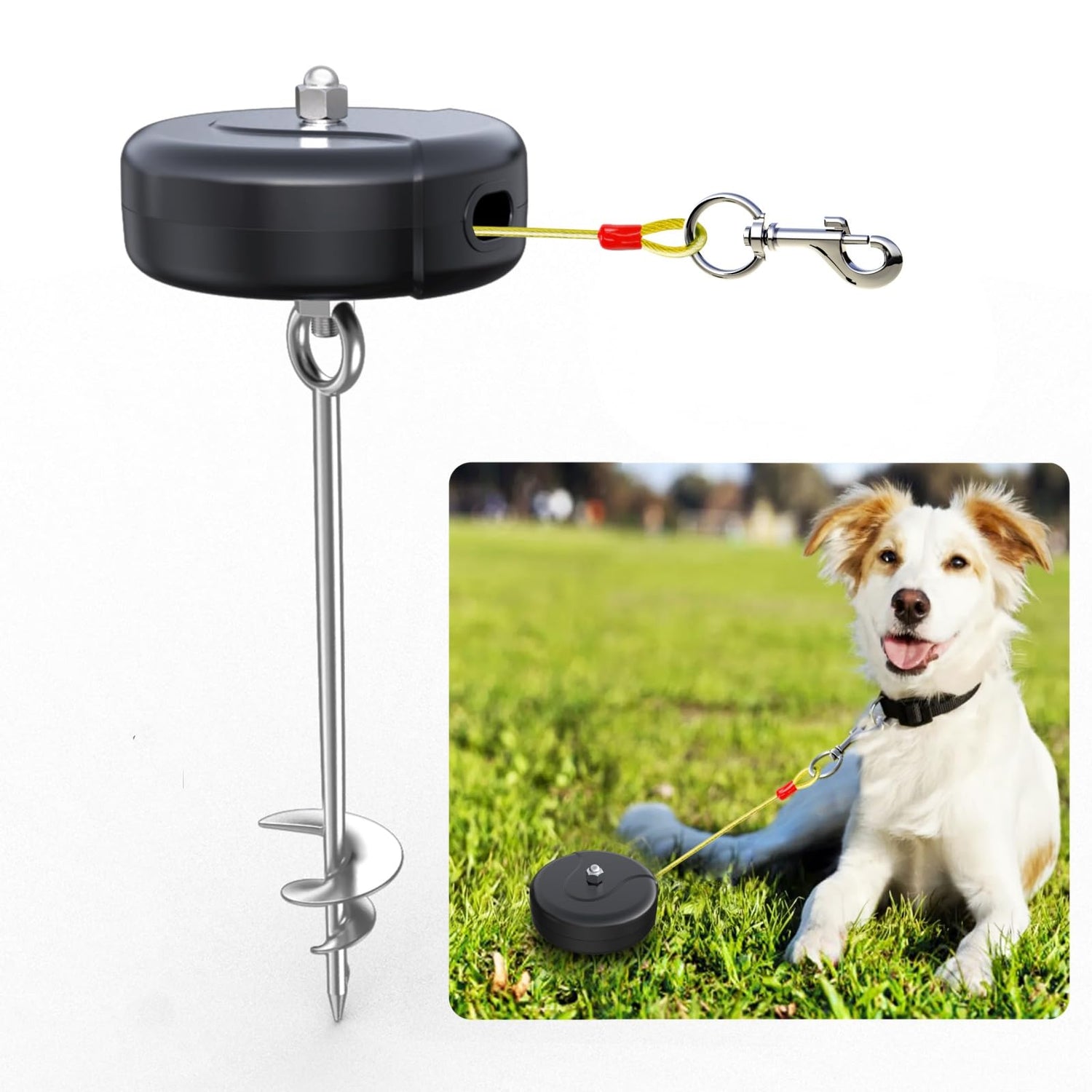Retractable Leashes