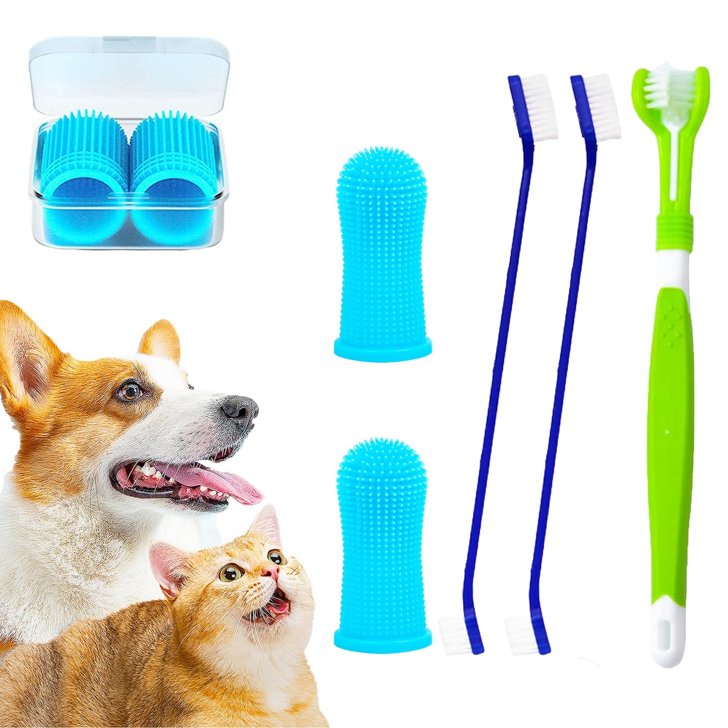 Toothbrushes & Dental Care