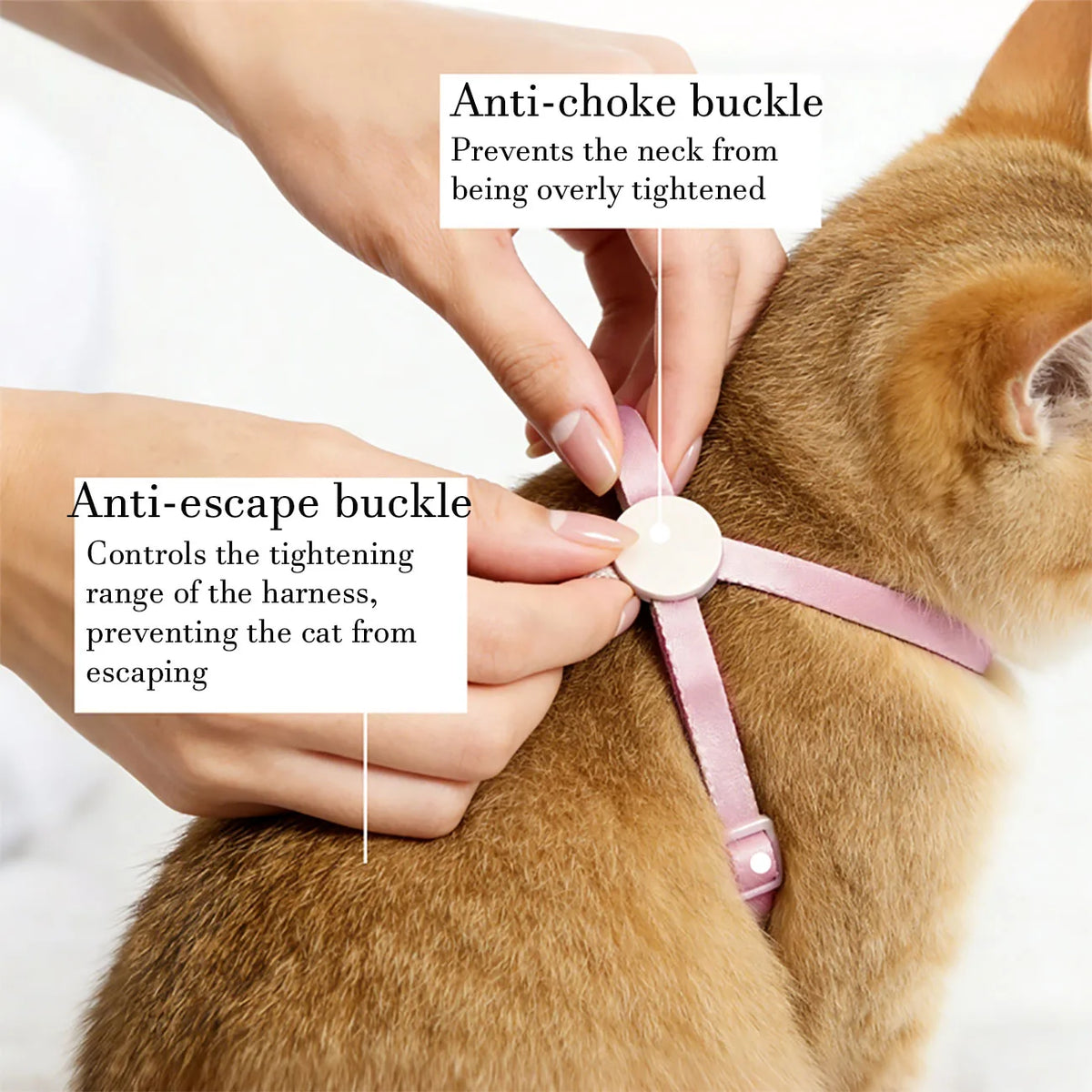 Cat Harness & Leash Set, X-Shape Escape Proof Outdoor Training Walking Vest Harness for Cats, Lightweight,Nylon Rope Small Dogs