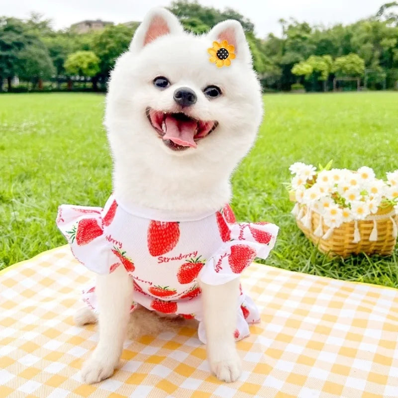 Princess Style Dog Dresses Summer Strawberry Dress for Dog Pet Puppy Clothes Cute Print Cat Wedding Skirt Chihuahua Dog Clothes