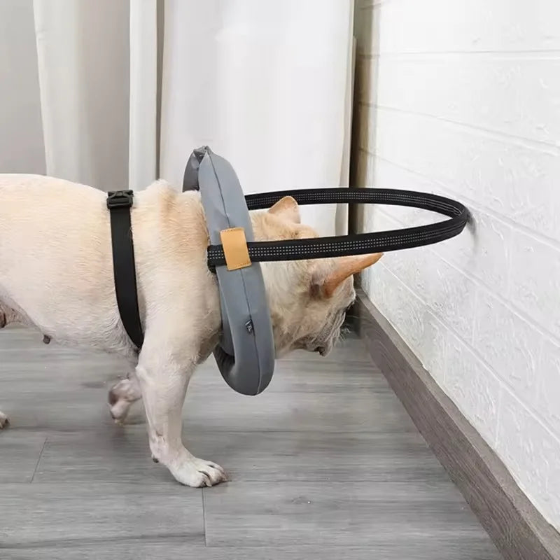 Pet Safety Harness for Dog and Cats Enhancing Protections for Sight Impaired Animal Rings Collar for Blind Dog Daily Walk
