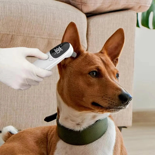 Vet Tech Digital Thermometer for Dogs - Accurate Fever Detection Device for Pets, Pet Supplies, Veterinary Thermometer