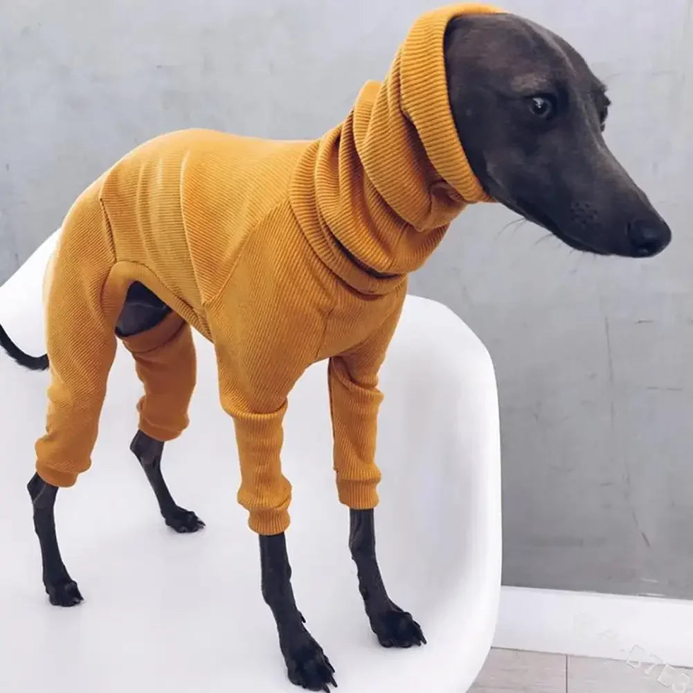 Fashion Four-legged Rib Dog Clothes Turtleneck Pet Sweater for Whippet Italian Greyhound Winter Pullover Jumpsuit for Big Dogs