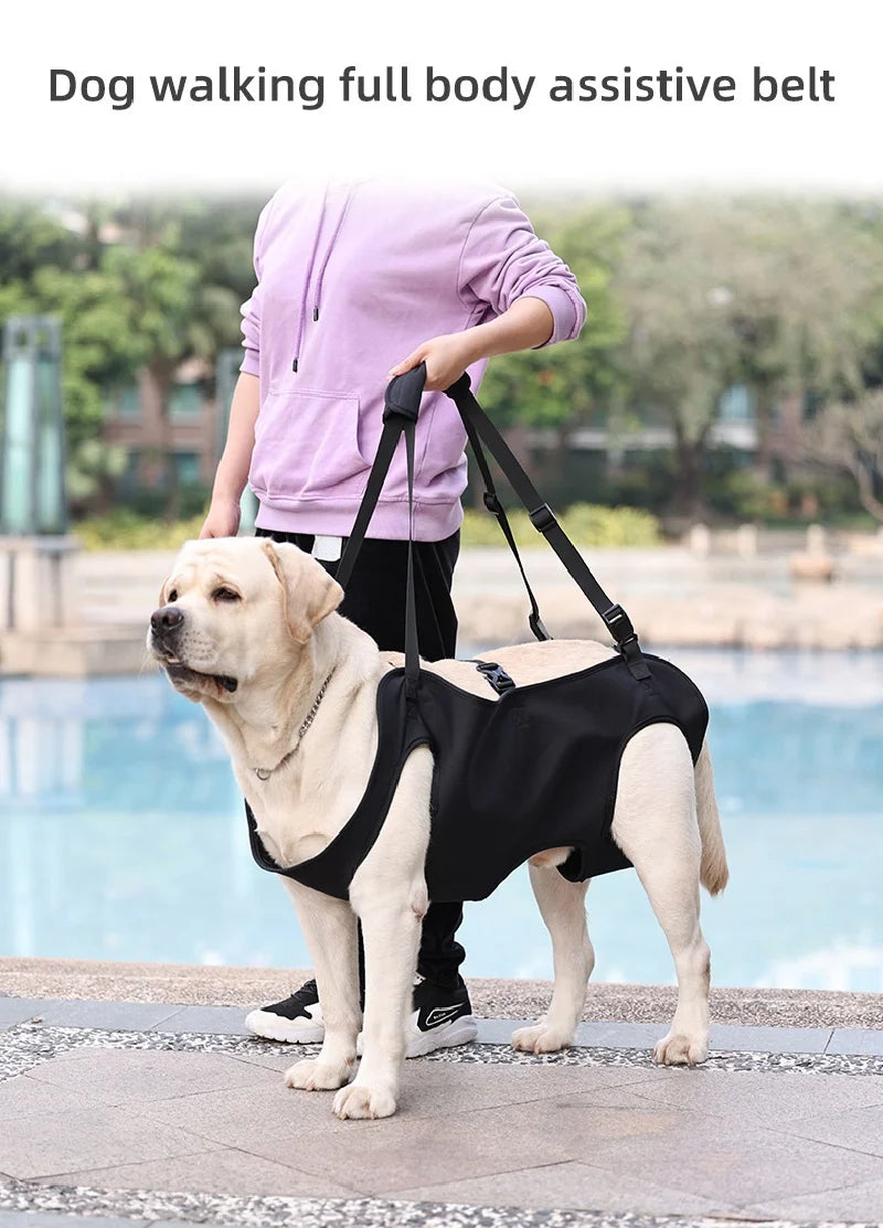 Dog Body Support Harness for Injured Disabled Elderly Dogs Pet Dog Soft Carrying Injuries Recover Support Harness Pet Supplies