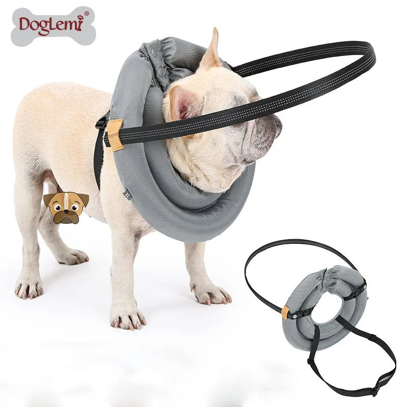 Pet Safety Harness for Dog and Cats Enhancing Protections for Sight Impaired Animal Rings Collar for Blind Dog Daily Walk