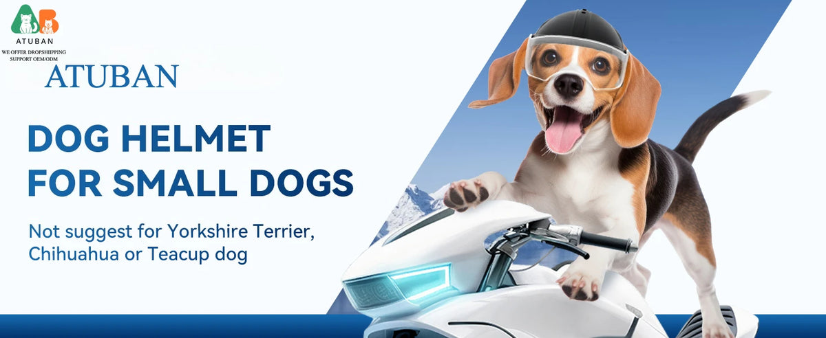 ATUBAN Dog Helmet for Small Breed Cool Pet Motorcycle Helmet with Drop-Down Clear Visor for Small Dogs Head Circumstance OEM/ODM