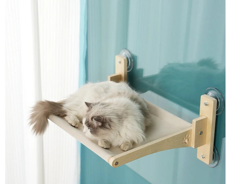 Foldable Wall Cat Hammock Window Bed Suction Cup Cat Hammock Large Space Kitten Nest Climbing Frame Pet Supplies Accessories