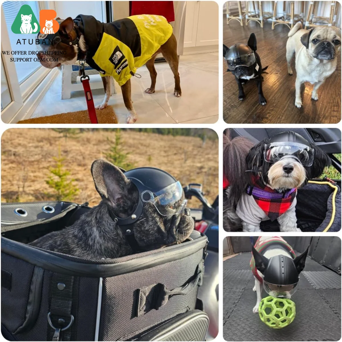ATUBAN Dog Helmet for Small Breed Cool Pet Motorcycle Helmet with Drop-Down Clear Visor for Small Dogs Head Circumstance OEM/ODM