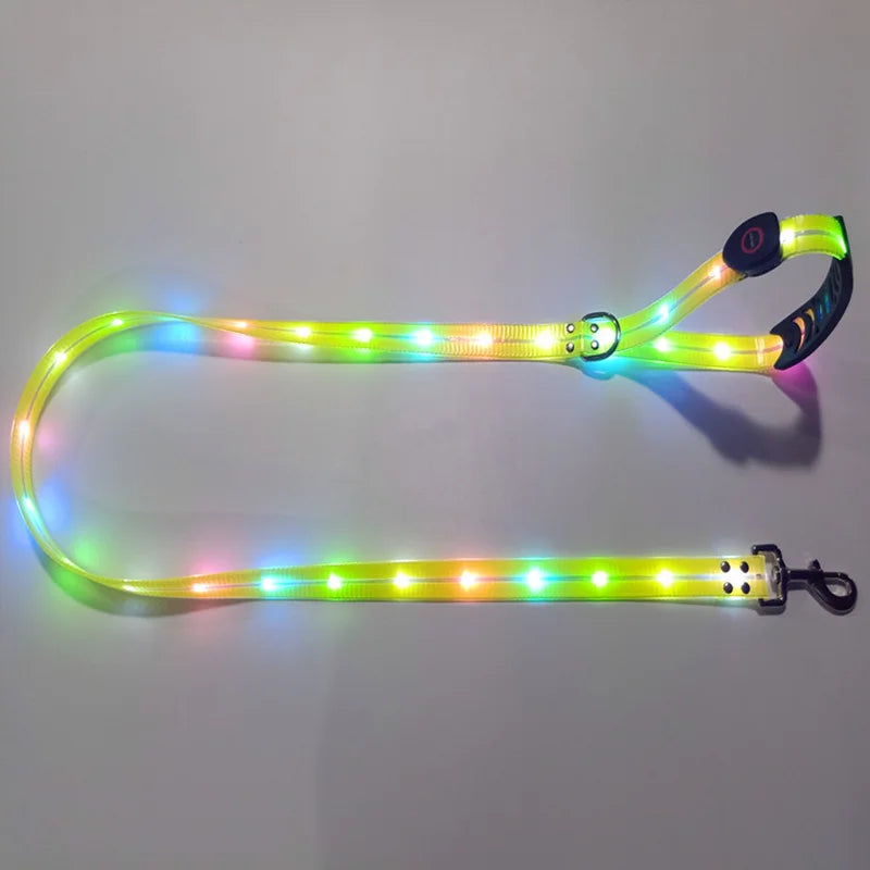 Pet Light-up Collar Leash LED Flashing Collar USB Charging Dog Walking Pulling Belt Adjustable Dog Collar Anti-Lost Pet Supplies