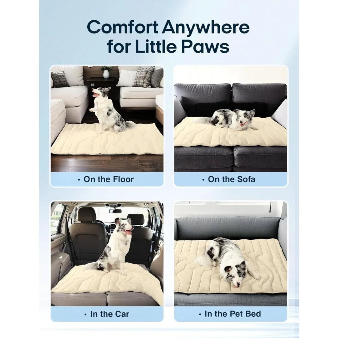 Dog Cooling Mat 2026 Upgraded Arc-Chill Cooling Dog Bed Mat, Washable Pet Cooling Pad,For Dogs & Cats Indoor Outdoor  Seat