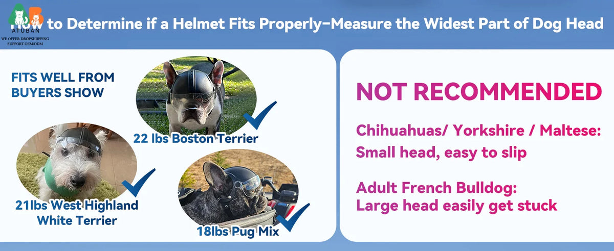 ATUBAN Dog Helmet for Small Breed Cool Pet Motorcycle Helmet with Drop-Down Clear Visor for Small Dogs Head Circumstance OEM/ODM