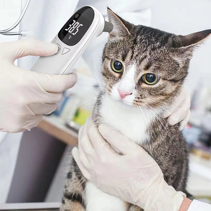Vet Tech Digital Thermometer for Dogs - Accurate Fever Detection Device for Pets, Pet Supplies, Veterinary Thermometer